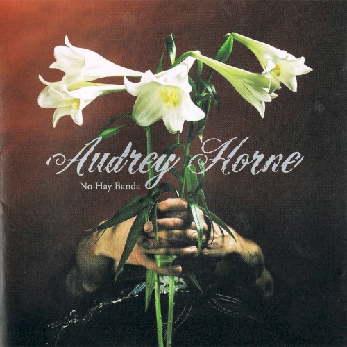 Audrey Horne - No Hay Banda